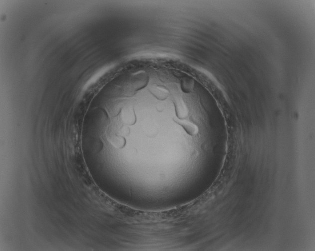 X0000086220871200704051237