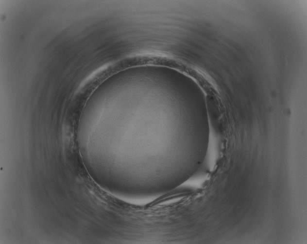 X0000086220872200704051237