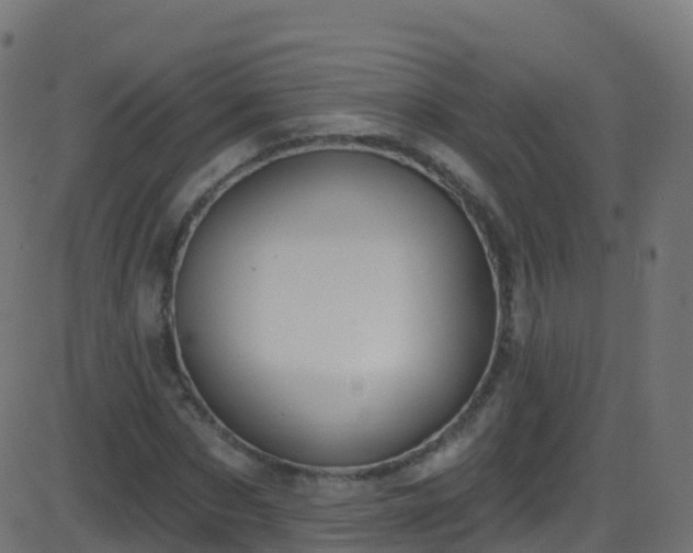 X0000086220873200704051237