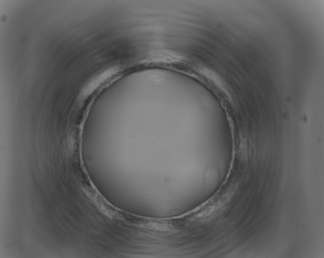 X0000086220874200704051237