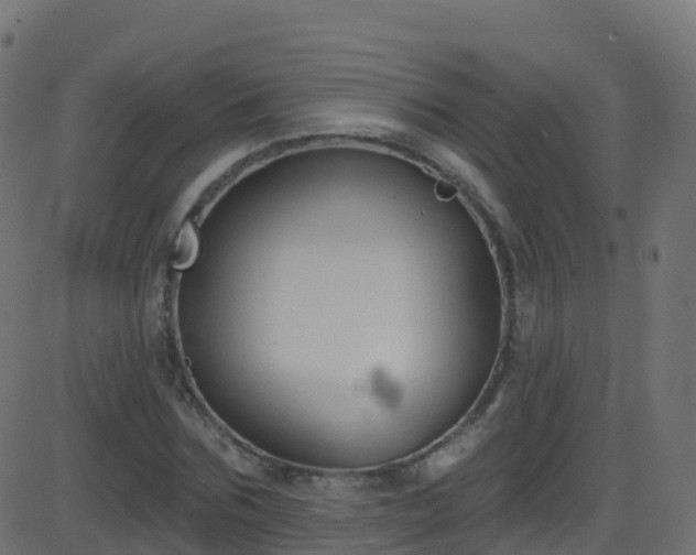 X0000086220875200704051237