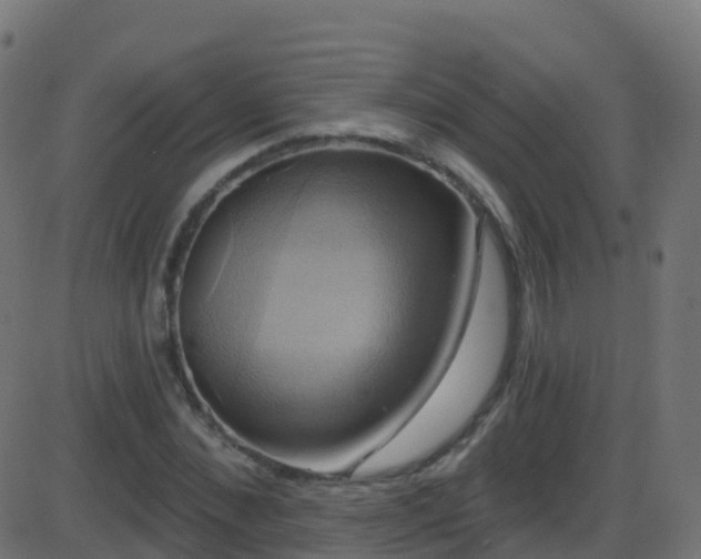 X0000086220876200704051237