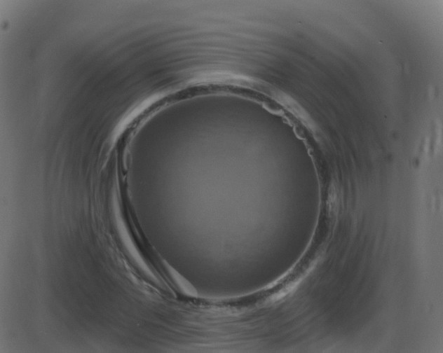 X0000086220877200704051237