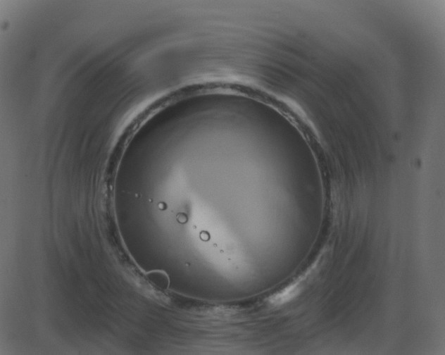 X0000086220879200704051237