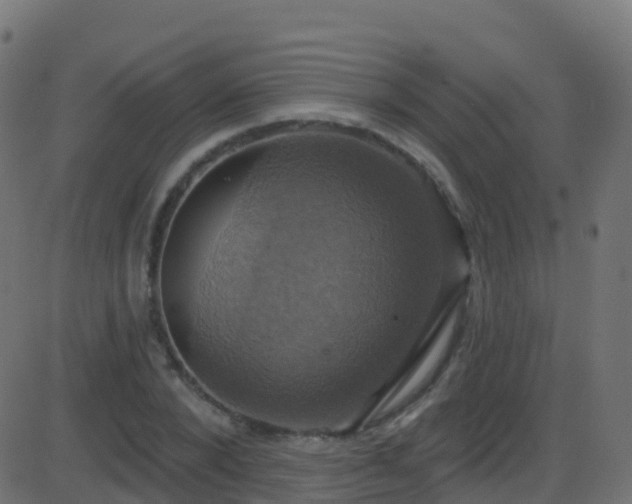 X0000086220880200704051237