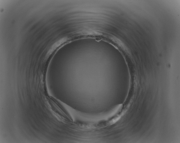 X0000086220881200704051237