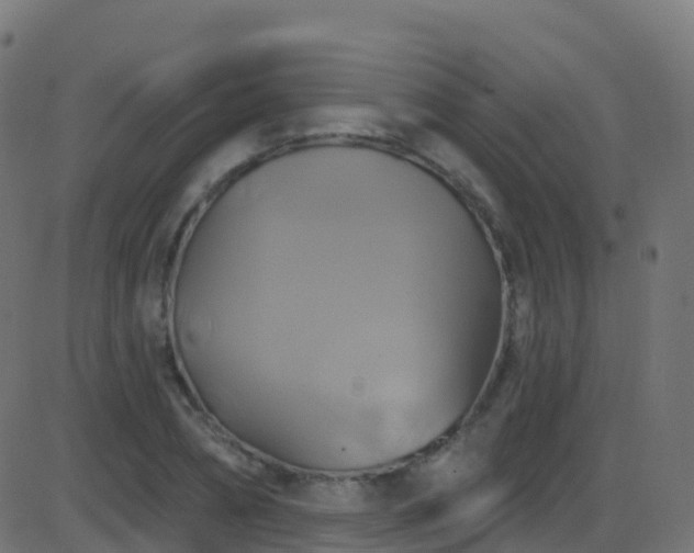 X0000086220882200704051237