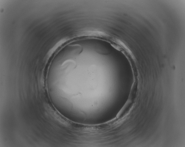 X0000086220883200704051237