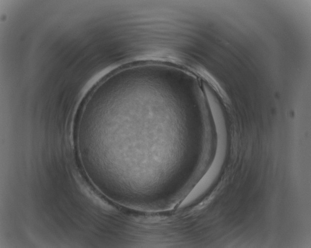 X0000086220884200704051237