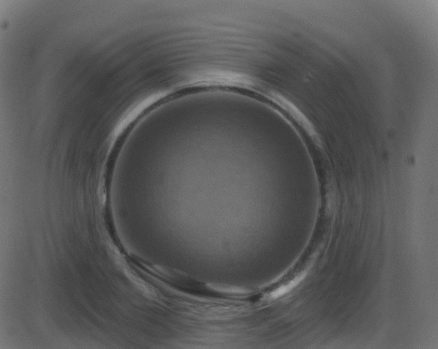 X0000086220885200704051237