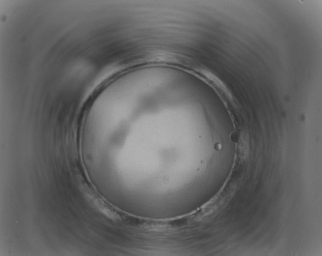 X0000086220886200704051237