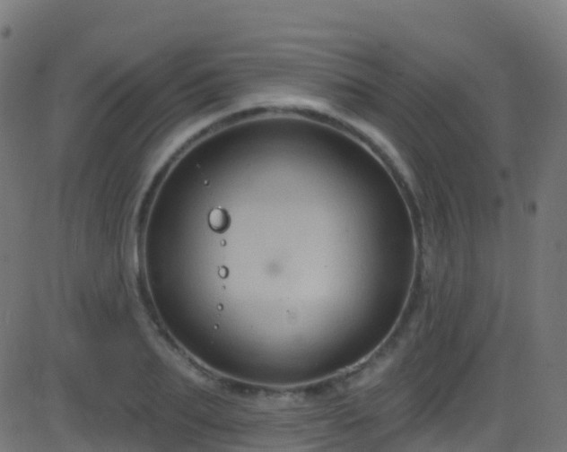 X0000086220887200704051237