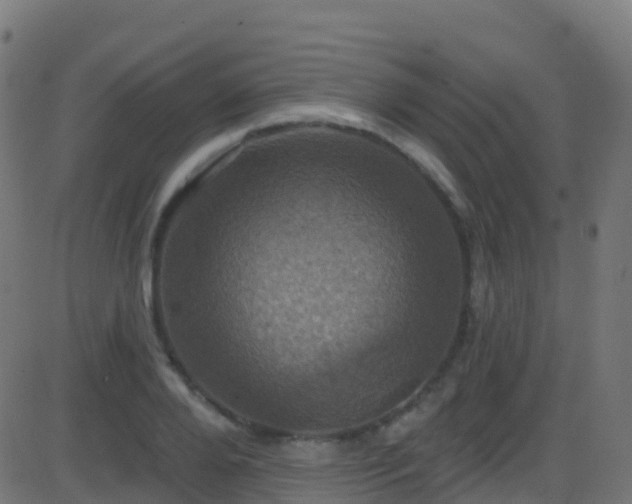 X0000086220888200704051237