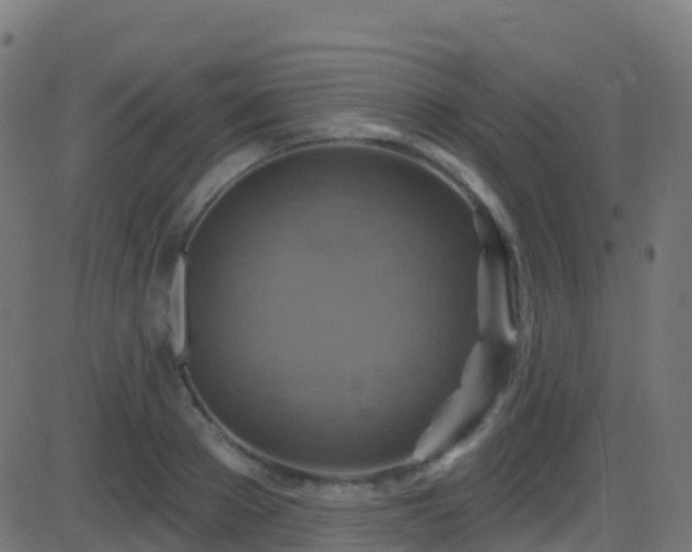 X0000086220889200704051237