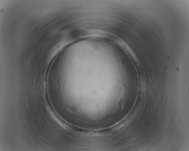 X0000086220890200704051237