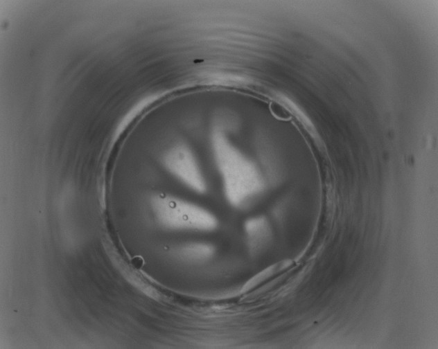 X0000086220891200704051237