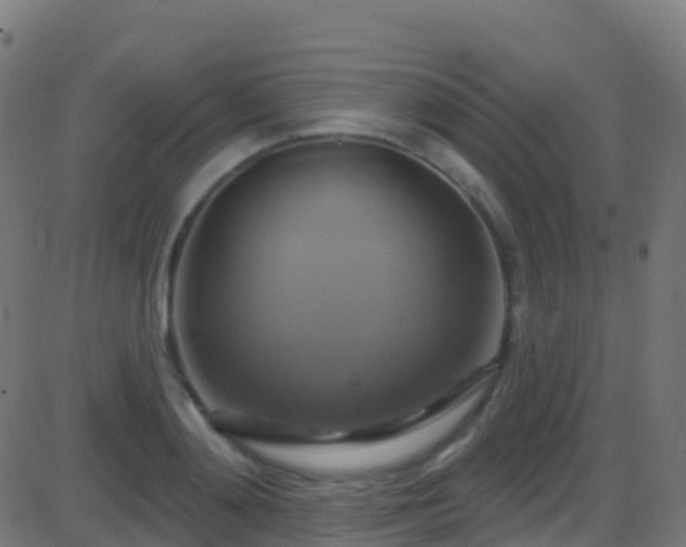 X0000086220892200704051237