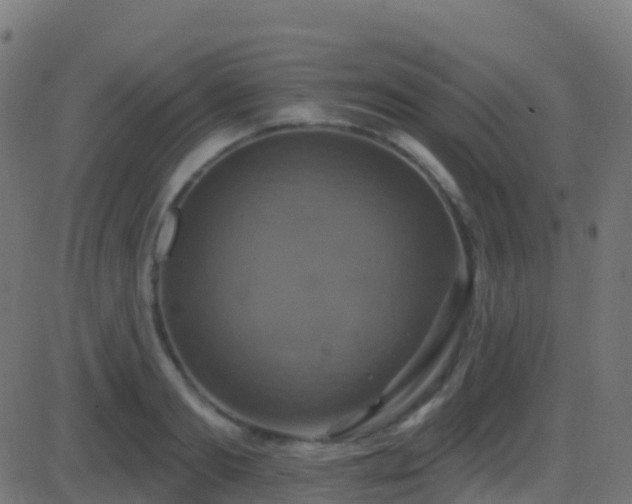 X0000086220893200704051237