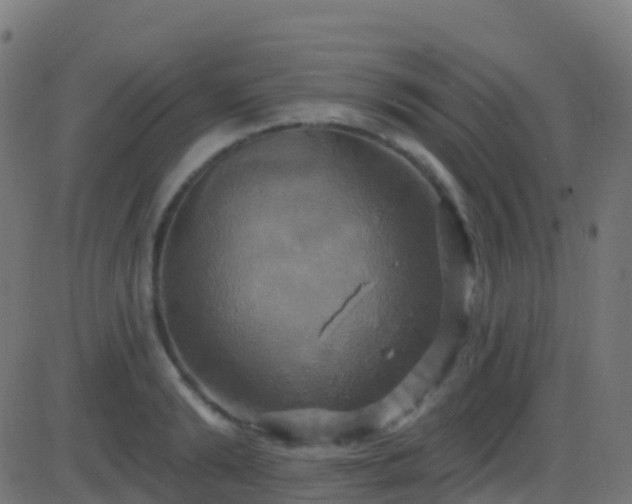 X0000086220894200704051237