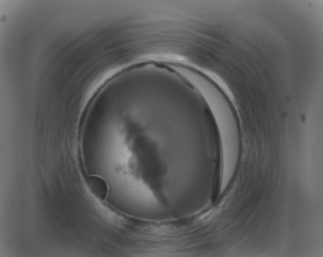 X0000086220895200704051237