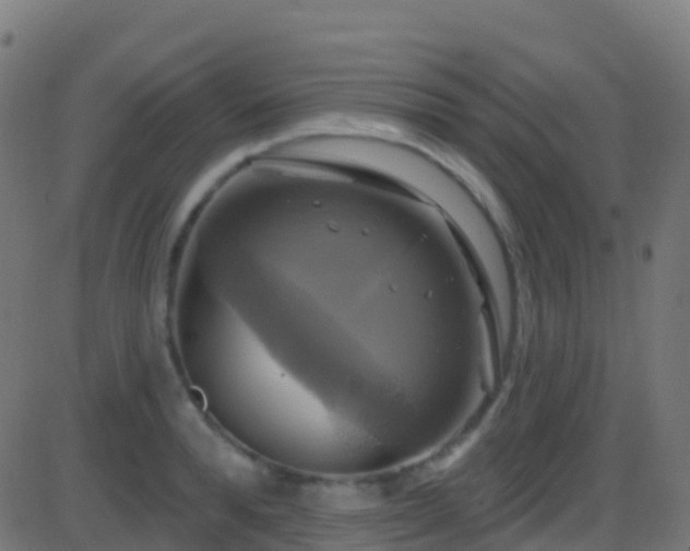 X0000086220896200704051237