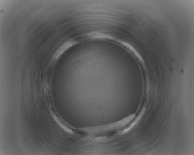 X0000086220897200704051237