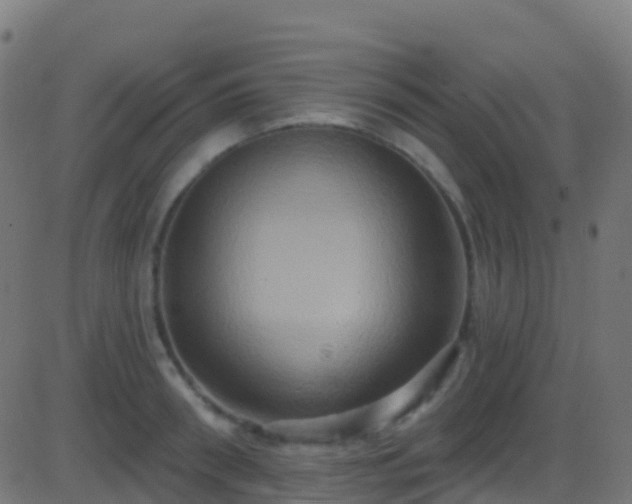 X0000086220898200704051237