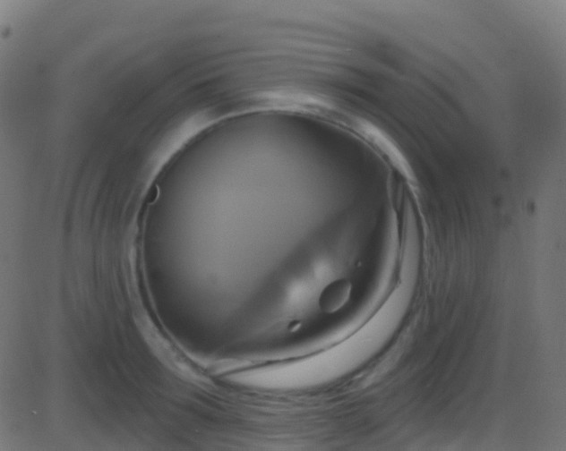 X0000086220899200704051237