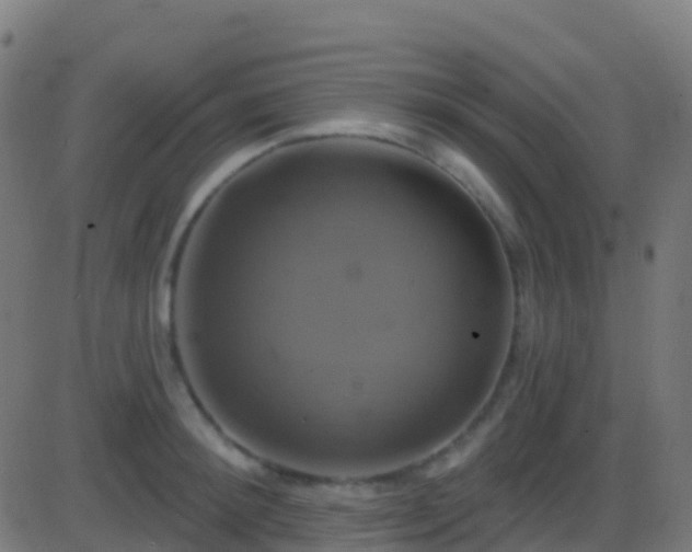 X0000086220900200704051237