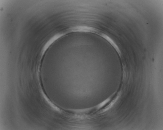 X0000086220901200704051237