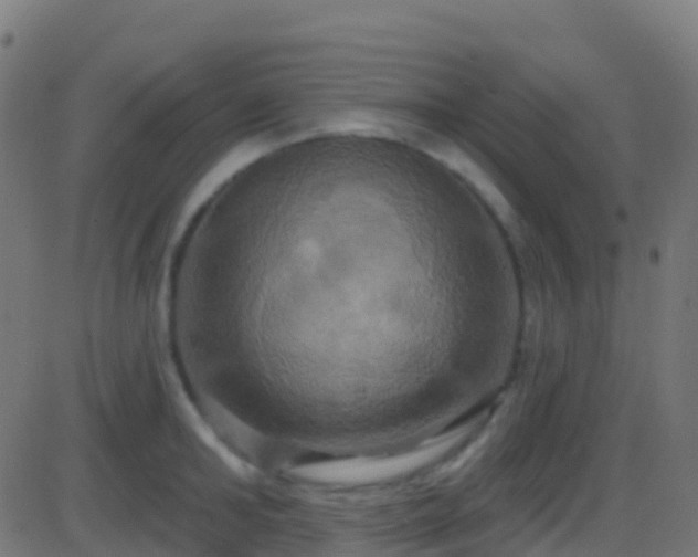 X0000086220902200704051237