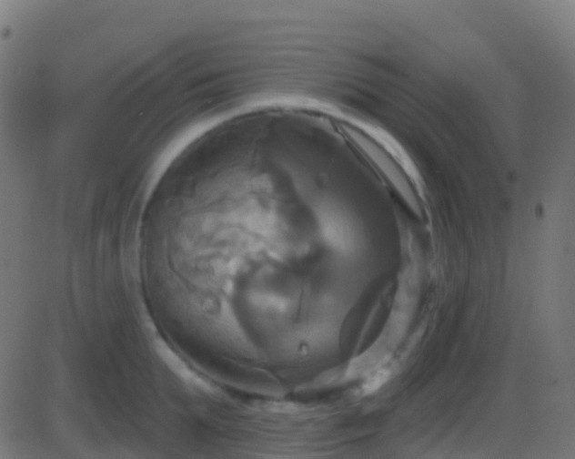 X0000086220903200704051237