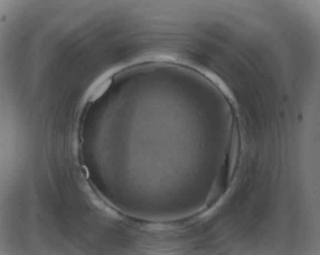 X0000086220904200704051237