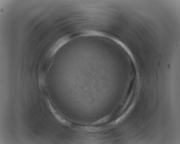 X0000086220905200704051237