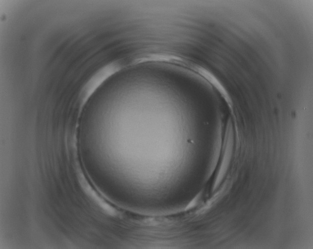 X0000086220906200704051237