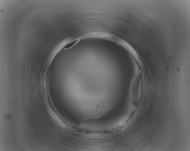 X0000086220907200704051237