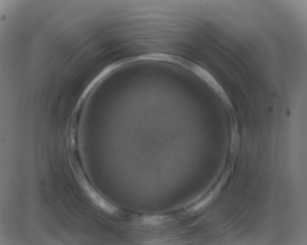 X0000086220908200704051237