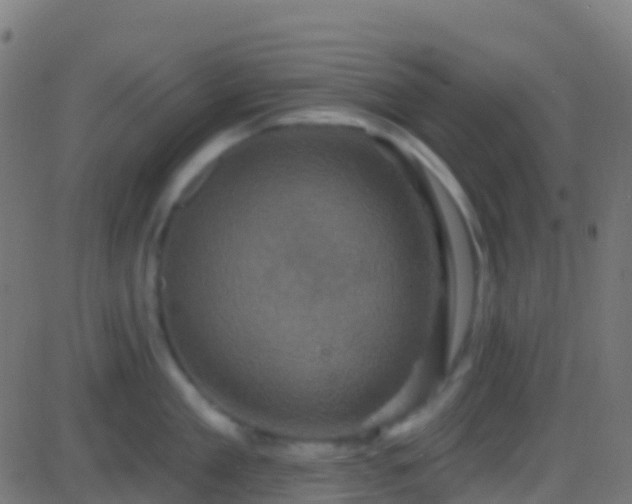 X0000086220909200704051237