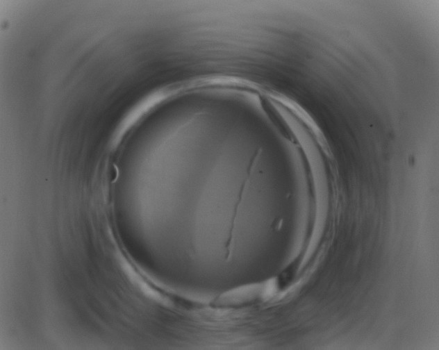 X0000086220910200704051237