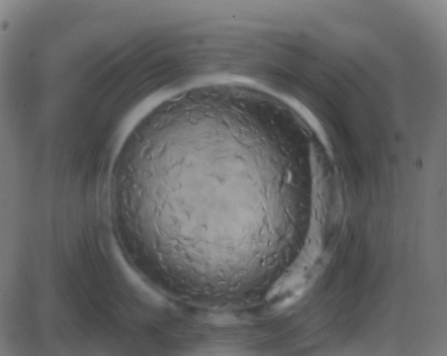 X0000086220911200704051237