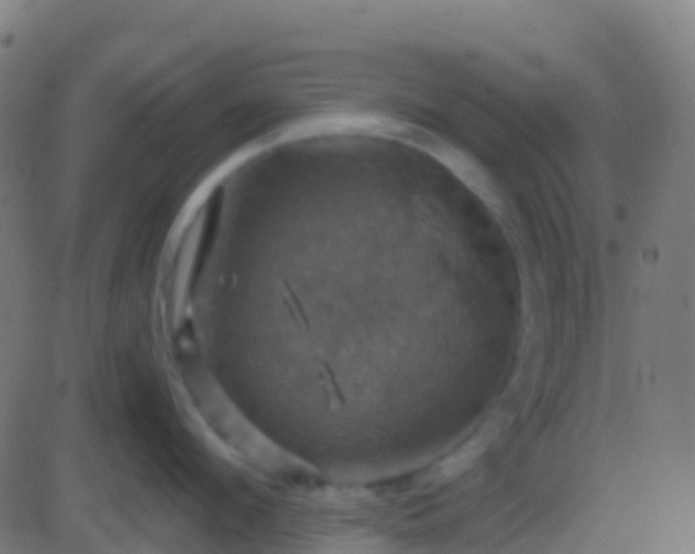 X0000086220912200704051237