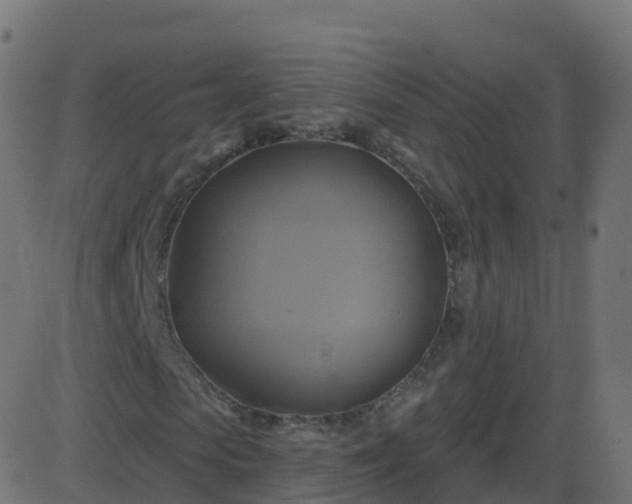 X0000086220913200704051236