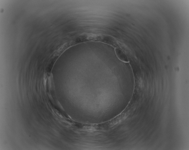 X0000086220914200704051236