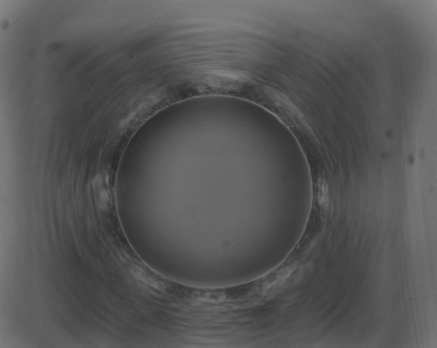 X0000086220915200704051236