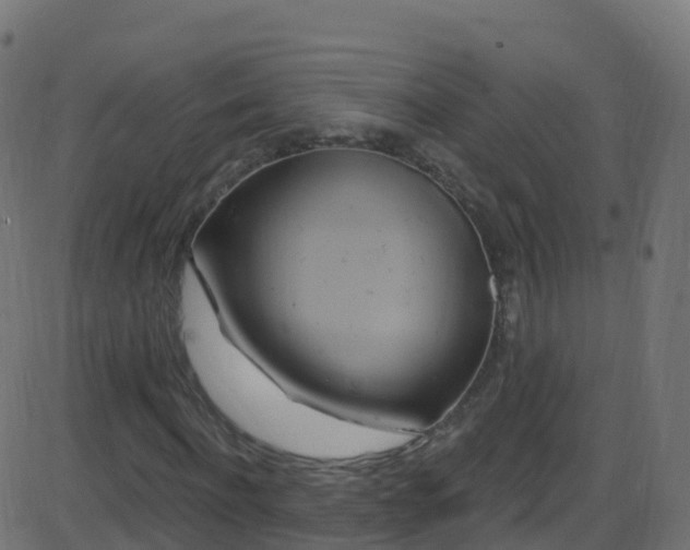 X0000086220916200704051236