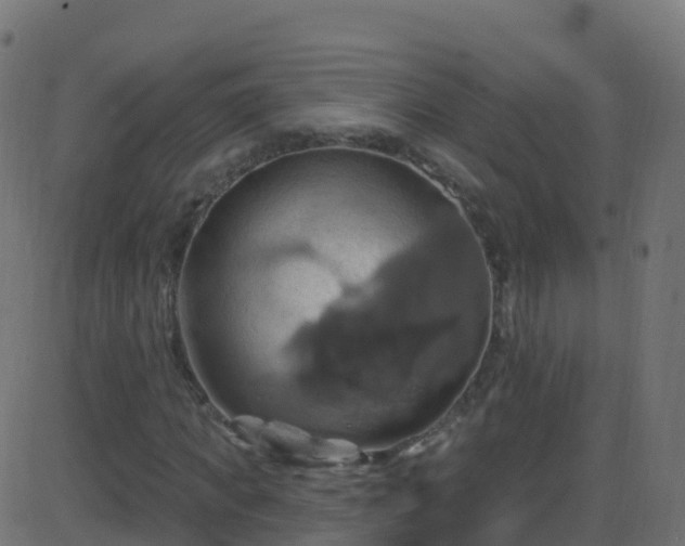 X0000086220917200704051236