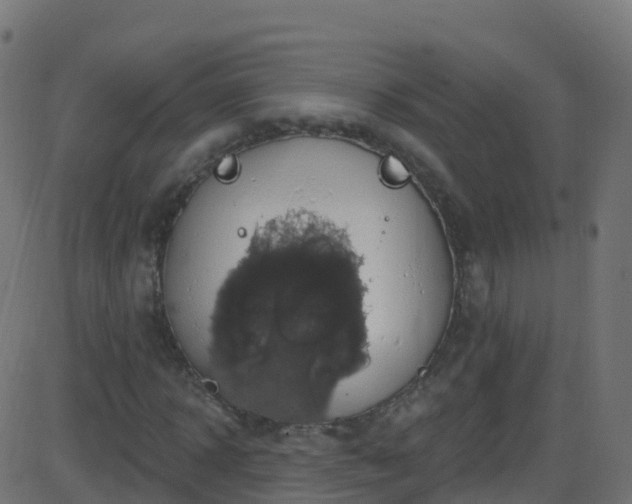 X0000086220918200704051236