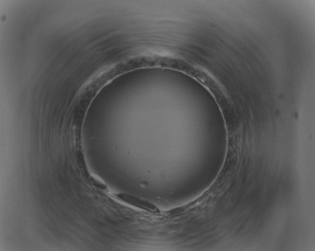 X0000086220919200704051236