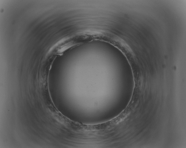 X0000086220920200704051236