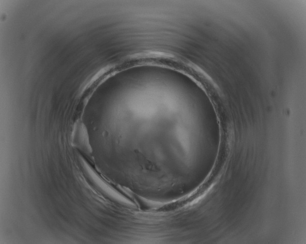 X0000086220921200704051236